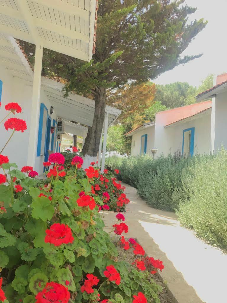 Hotel Teos Ormanci Tatil Koyu Seferihisar Zewnętrze zdjęcie